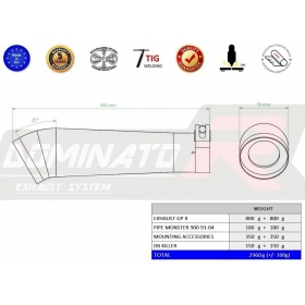 Exhausts silincers Dominator GP2 DUCATI MONSTER 900 1993-2004