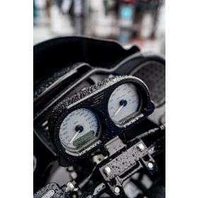 SLYFOX Sanel housing and mounting kit. Harley Davidson FLHC / FLHTCU / FLHX /  FLTRXS 1690-1977 14-19