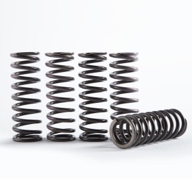 HINSON Hi-Temp Clutch Spring Kit SUZUKI LT-Z 400