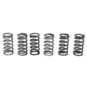 TRW Clutch springs set MV Agusta Brutale 675-800 12-19
