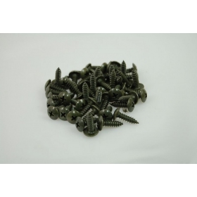 Screw Ø 4,8 (length 16mm) 1pc