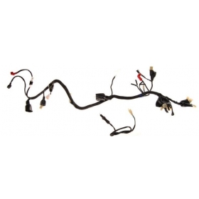 Wiring harness SHINERAY ATV150 4T