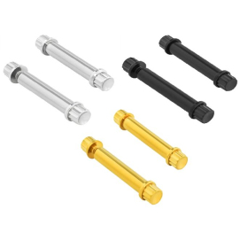 ARLEN NESS Footpeg Titanium 12-Point Bolt Kit M8