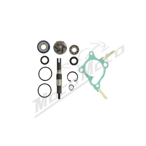 RMS Vandens pompos remonto kompl. Honda FES 250 1998