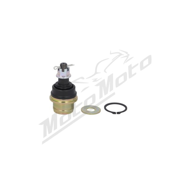 4RIDE Top Hinge Honda Talon 1000cc 19-21