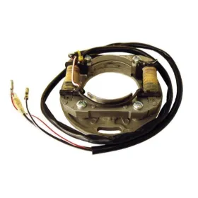 ELECTREX Stator Suzuki RM 65-85cc 02-19