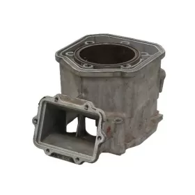 Sno-X Cylinder Ski-Doo 500SS/600