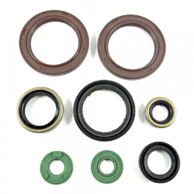 BEARING WORX Engine seals kit Honda CRF 250 04-15