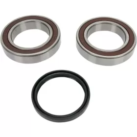 ALL BALLS Chain Case Bearing and Seal Kit SKI-DOO EXPEDITION / GRAND TOURING / GSX / MX-Z / RENEGADE / SUMMIT / TUNDRA 550-1200cc 2008-2018