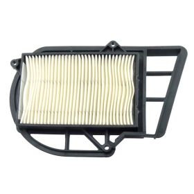 TECNIUM Air Filter - Yamaha / Malaguti / MBK 250/300 96-15