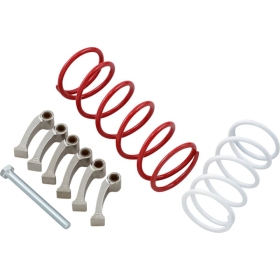 EPI Sport Utility Clutch Kit Can Am Renegade 1000 12-15
