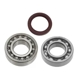 Sno-X Chain case bearing kit Yamaha Sidewinder / SR Viper / SX Venom / Transporter / Mountain Max 14-22