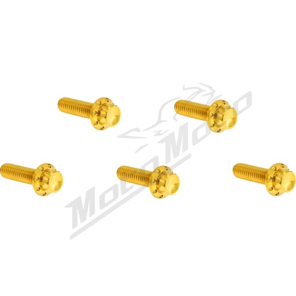 ARLEN NESS Derby Cover Titanium 12-Point Bolt Kit 12pcs. M8