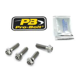 PRO BOLT Titanium Brake Caliper Mount Kit BMW / Suzuki 600-1300cc 00-16