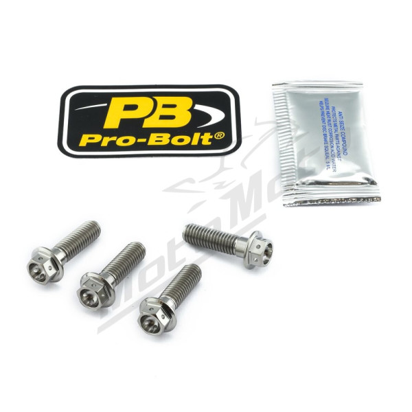 PRO BOLT Titanium Brake Caliper Mount Kit BMW / Suzuki 600-1300cc 00-16