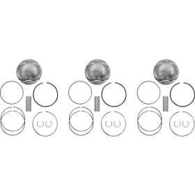 WOSSNER Piston Kit 73.94mm Ski Doo Renegade 900 ACE 14-23