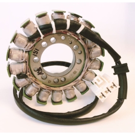 RICK'S MOTORSPORT ELECTRIC OEM Style Stator Honda CBF 1000cc 06-11