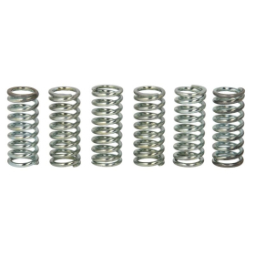 TRW Clutch springs set Kawasaki / Suzuki 900-1100 90-97