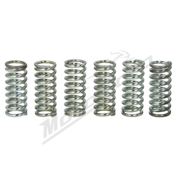 TRW Clutch springs set Kawasaki / Suzuki 900-1100 90-97
