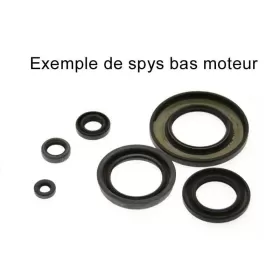 CENTAURO Oil Seal Set APRILIA OTEUR ROTAX 125 1988-2008
