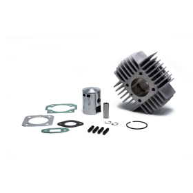 Cylinder MALOSSI Sport Ø42 Pin Ø12 Puch 50cc 69-84 AIR 2T