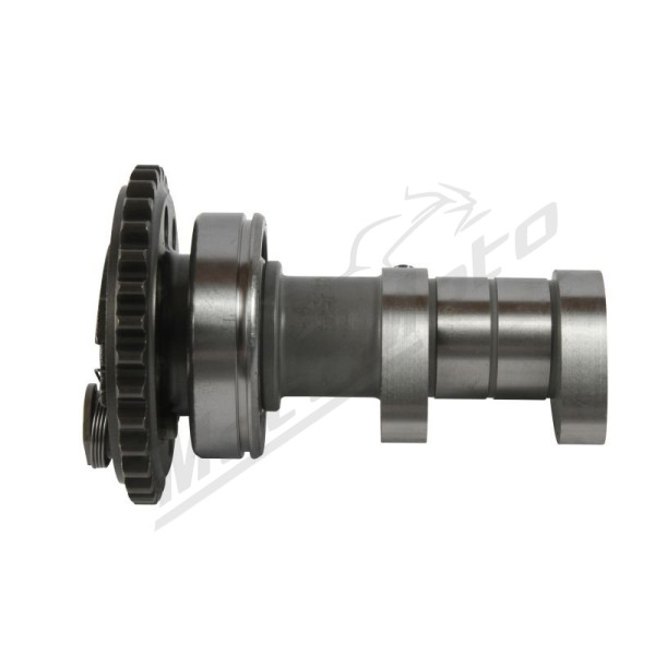 Hot cams camshaft (exhaust) Yamaha YZ 250 F 17-18