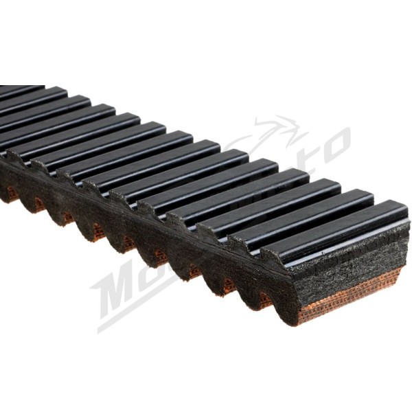 GATES "G-Force C12™" variatoriaus diržas Arctic Cat M / Pantera / XF / ZR 400-800cc 12-19