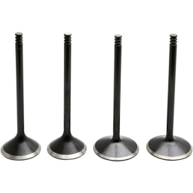 KIBBLEWHITE Black Diamond™ Engine Valve Kit Harley Davidson FLD / FLHR / FLHRC / FLHT / FLHTC / FLHX / FLHXS / FLS / FLSTC / FLSTFI / FLTR / FLTRX / FXD / FXDF / FXDL / FXDWG / FX / FXST 1450-1690 96-
