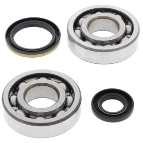 4Ride Crankshaft Bearing Kit SUZUKI RM 250 1994-1995