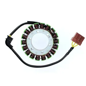 ELECTROSPORT Stator Aprilia RST / Tuono / ETV 1000 01-10