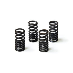 Valve Spring Kit MALOSSI V4 Head Piaggio 400-500cc 01-17 H2O 4T