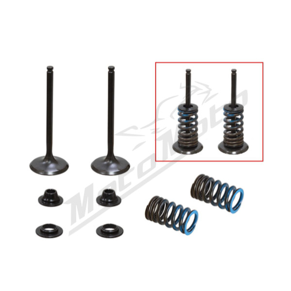 Psychic intake valves set Yamaha WRF / YZF / YZ 250cc 14-19