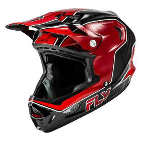 FLY RACING Werx-R Carbon Flow Bicycle Helmet