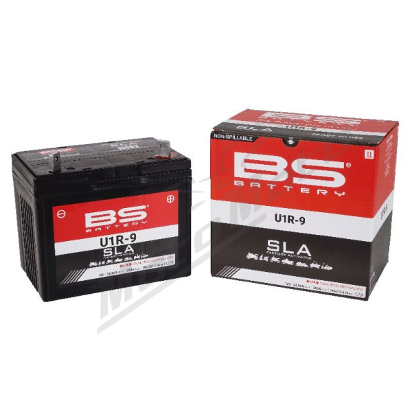 BS BATTERY SLA Factory-Activated AGM Maintenance-Free Batteries