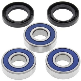 ALL BALLS Rear Wheel Bearing Kit BMW F 650-800R 08-20/APRILIA DORSODURO 1200 11-18