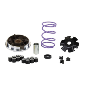 Variatoriaus komplektas MALOSSI MHR Multivar 2000 (16x13) Piaggio / Gilera / Vespa 50 91-00 2T