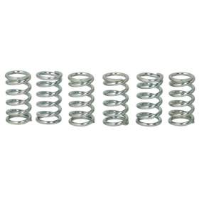 TRW Sankabos spyruoklių kompl. Honda / Kawasaki 200-1000 76-17