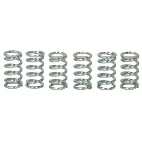 TRW Clutch springs set Honda / Kawasaki 200-1000 76-17