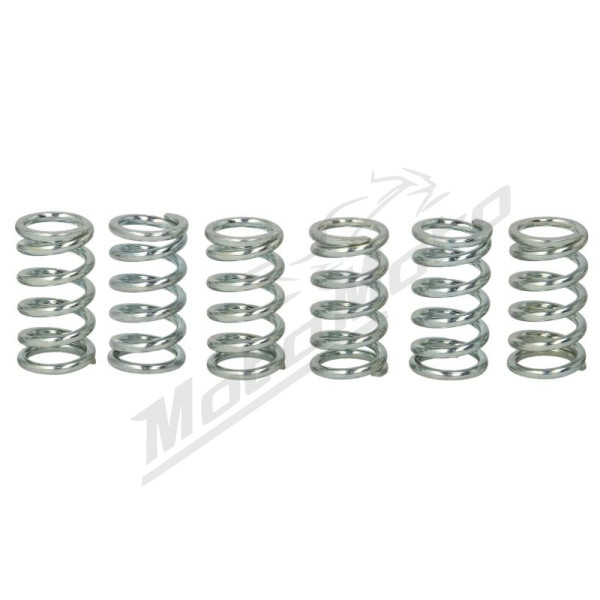 TRW Clutch springs set Honda / Kawasaki 200-1000 76-17