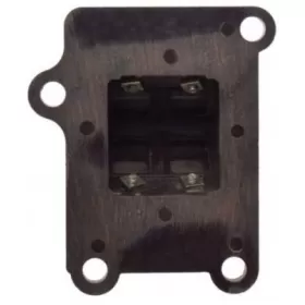 Reed valve assy PGO 2T