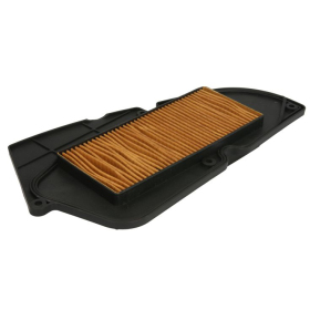 Oro filtras CHAMPION Peugeot LXR / SYM HD / HD2 125-200cc 2003-2015