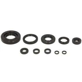 Winderosa Engine gaskets set (quantity per set 10 pcs) Yamaha YZ 250 2001