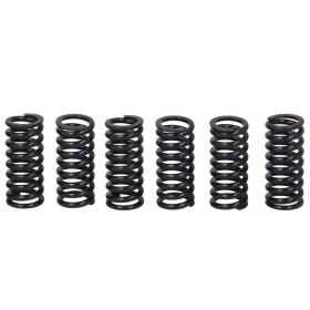TRW Clutch springs set Suzuki RM 125-250 01-12