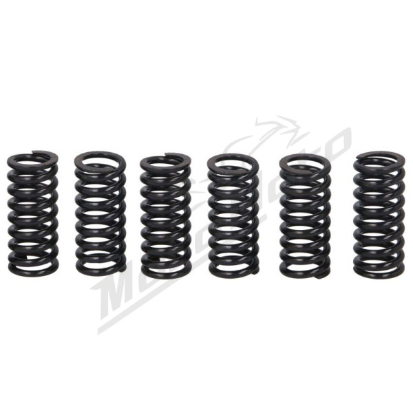 TRW Sankabos spyruoklių kompl. Suzuki RM 125-250 01-12