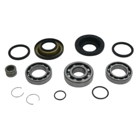 ALL BALLS Rear differential repair kit Honda Pioneer 500-520 15-21