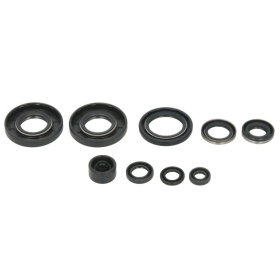 Winderosa Engine simmerings' sets Kawasaki / Suzuki 80-100 98-21