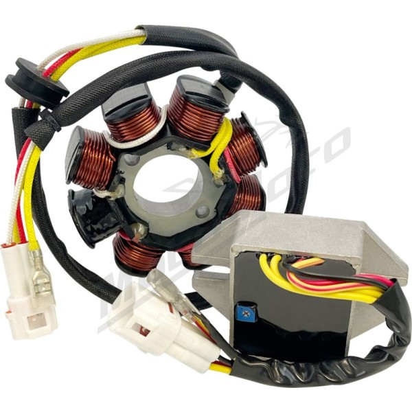 RICK'S MOTORSPORT ELECTRIC Lithium-Ion Compatible Charging Kit  Husqvarna / KTM 250-300cc 17-19