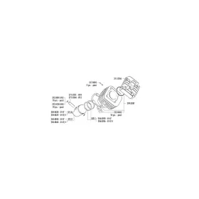 POLINI Cylinder Kit Pin 12mm Aeon / Aprilia / Benelli / Beta / Malaguti / MBK / PGO / Yamaha 50cc 90-20