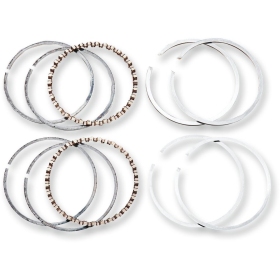 HASTINGS Replacement Piston Rings Harley Davidson FLD / FLHR / FLHRC / FLHTCU / FLHX / FLS / FLSTN / FXDB 1690 03-17