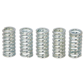 TRW Clutch springs set Suzuki GN / GZ / TU 125 94-11